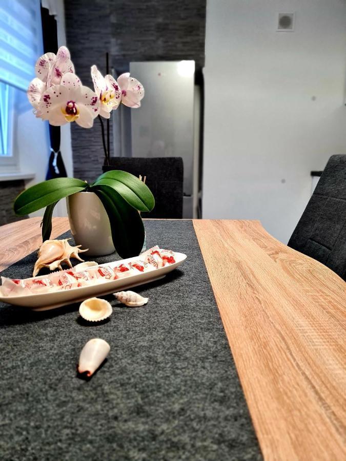 Apartament Freedom House Piran Zewnętrze zdjęcie