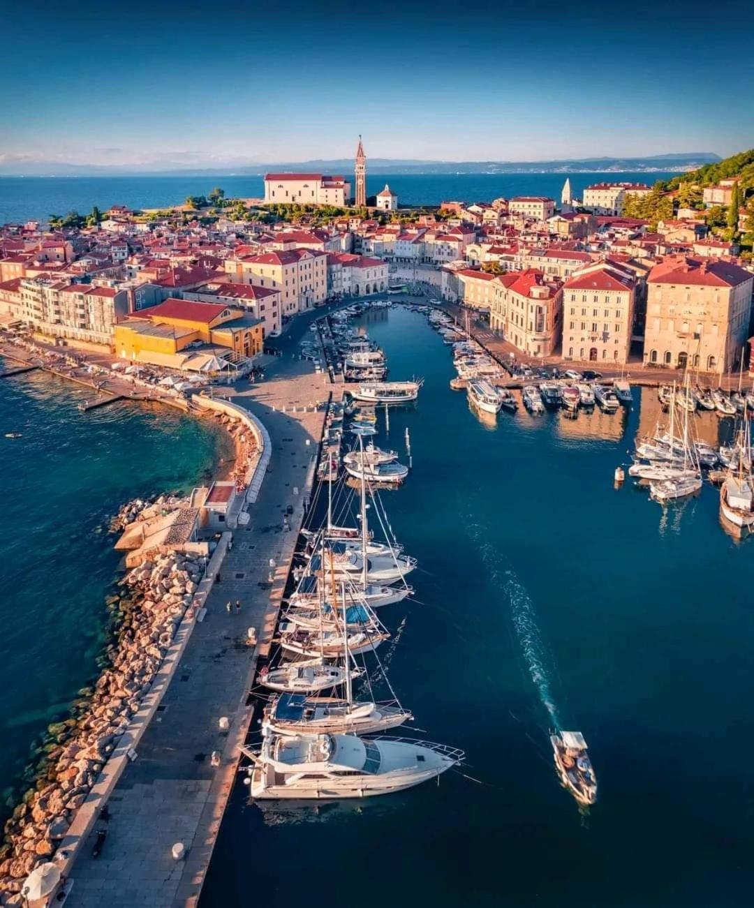 Apartament Freedom House Piran Zewnętrze zdjęcie
